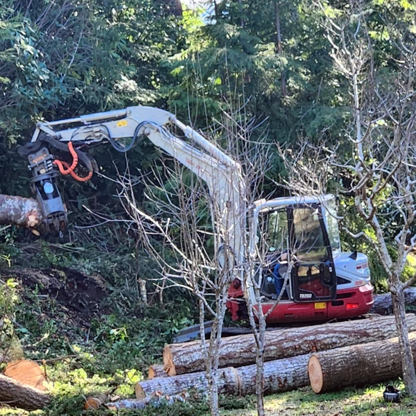 excavator moving logs